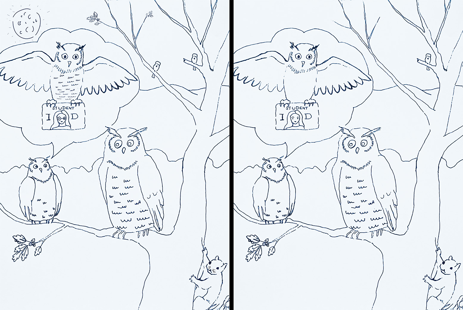 Find Difference Between the Pictures - Nittany Owl