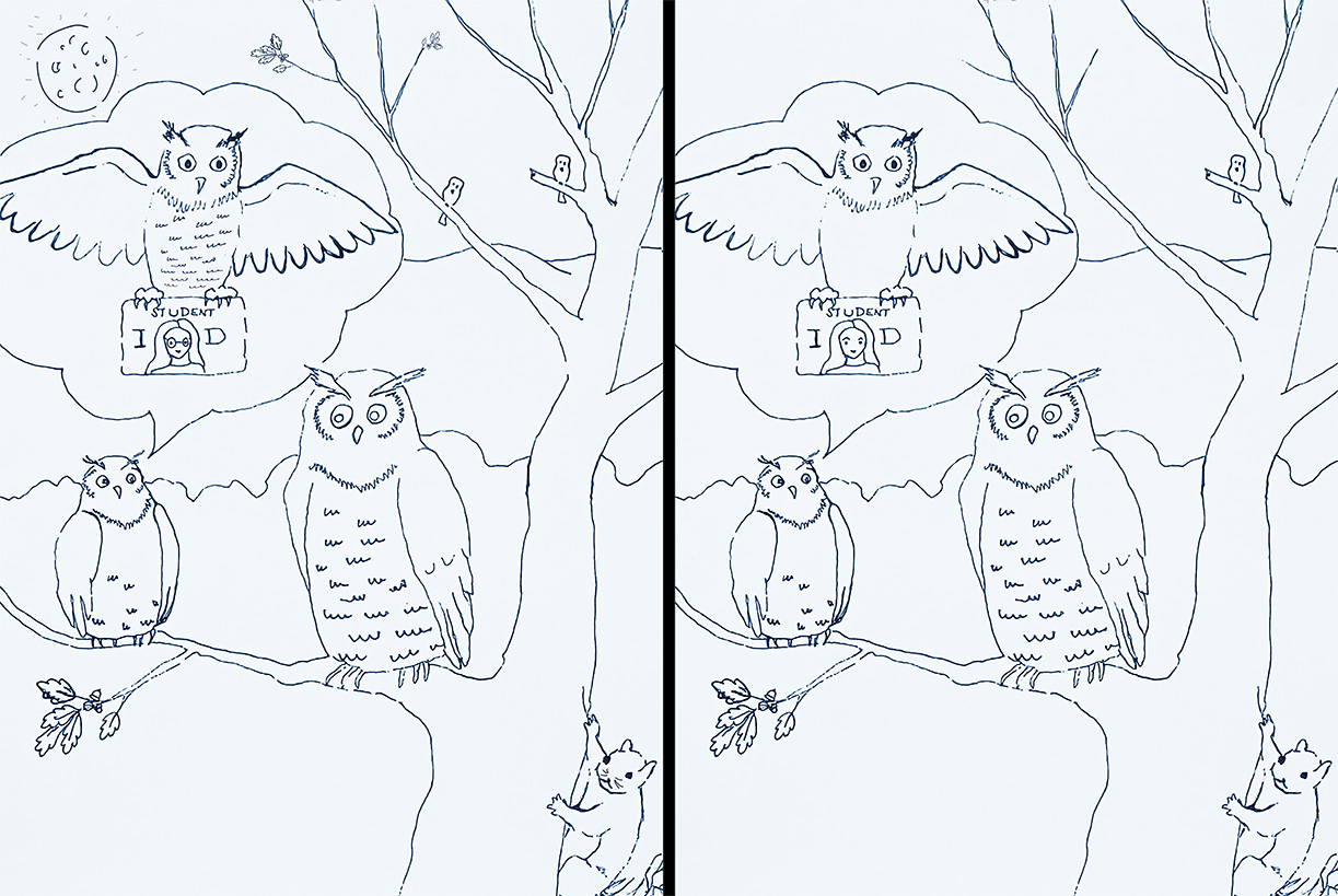 Find Difference Between the Pictures - Nittany Owl