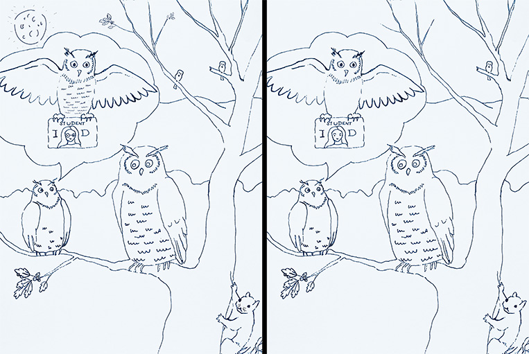Find Difference Between the Pictures - Nittany Owl