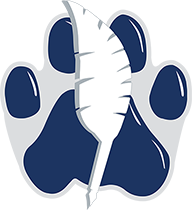 dlk logo